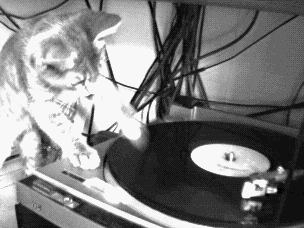 dj chat