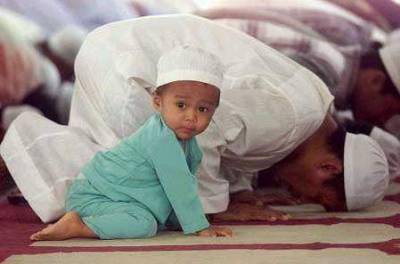 le ptit tricheure